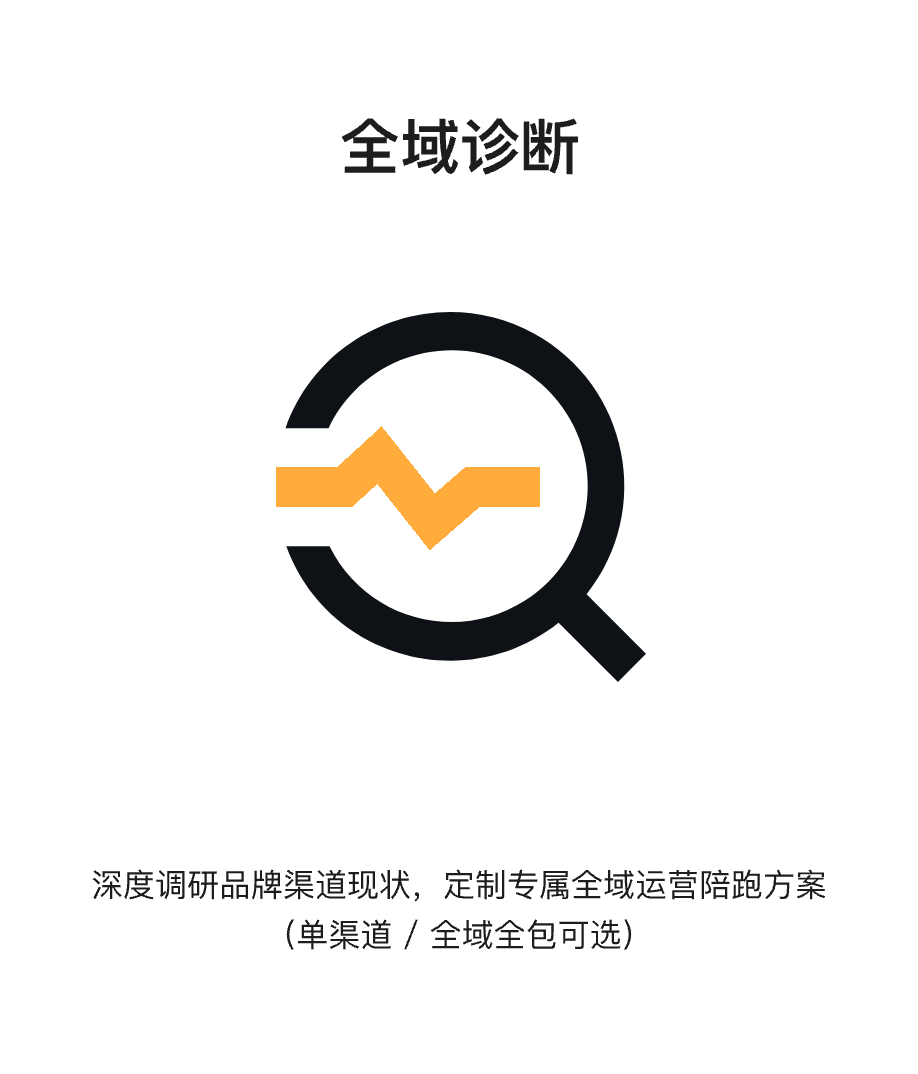 流程一 全域诊断：深度调研品牌渠道现状，定制专属全域运营陪跑方案（单渠道/全域全包可选）