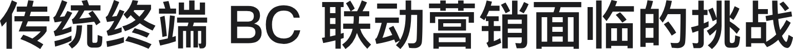 传统终端 BC 联动营销面临的挑战